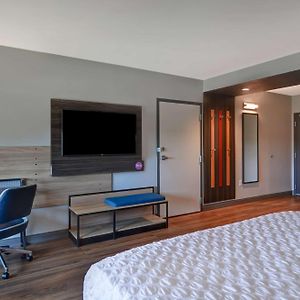 King Room Roll Shower Mobility Hearing Access